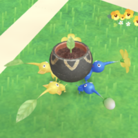 A group of Pikmin carrying a gray seedling in Pikmin Bloom.