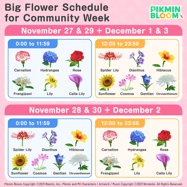 File:2nd Anniversary Big Flower Schedule.png