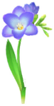 Blue freesia Big Flower icon.