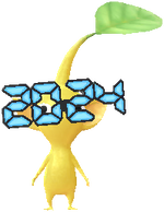 2024年眼鏡 黃皮克敏