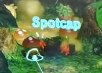 Spotcap.png