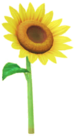 Yellow sunflower Big Flower icon.