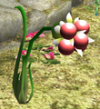 A Burgeoning Spiderwort in Pikmin 2.