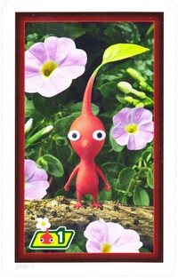 Red Pikmin AR card, that comes with a 2000 Yen eShop card.