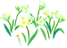 Texture for white freesia flowers on the map in Pikmin Bloom