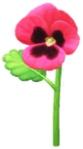 Red pansy Big Flower icon.