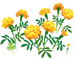 Texture for yellow marigold flowers on the map in Pikmin Bloom.