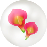 Red calla lily nectar icon.png