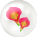 Icon for red calla lily nectar from Pikmin Bloom.