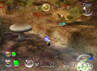 P2 Anti-hiccup Fungus Location.png