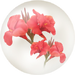 Red canna lily nectar from Pikmin Bloom.