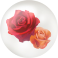 Red rose nectar.