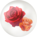 Red rose nectar from Pikmin Bloom.