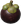 A mangosteen, one of Pikmin Bloom's medium fruits.