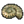 Treasure Hoard icon for the Olimarnite Shell. Texture found in /user/Matoba/resulttex/us/arc.szs/rarc/tmp/makigai/texture.bti.