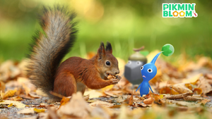 Promotional image for the 2024 Fall Sticker Event in Pikmin Bloom.