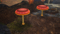 P4 Primordial Thicket Bouncy Mushrooms 2.png