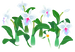In-game texture for _ cattleya flowers on the map.