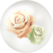 White rose nectar from Pikmin Bloom.