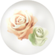 White rose nectar from Pikmin Bloom.