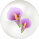 Icon for blue calla lily nectar from Pikmin Bloom.