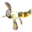 Icon for the Nectarous Dandelfly, from Pikmin 3 Deluxe<span class="nowrap" style="padding-left:0.1em;">&#39;s</span> Piklopedia.