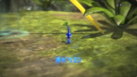 A Blue Pikmin in an early version of Pikmin 3.