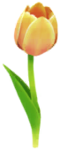 Yellow tulip Big Flower icon.