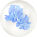 Blue sweet pea nectar in Pikmin Bloom.