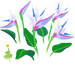 Texture for white bird of paradise/strelitzia flowers on the map in Pikmin Bloom.