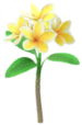 Yellow frangipani Big Flower icon in Pikmin Bloom.