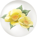 Yellow camellia nectar from Pikmin Bloom.