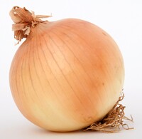 An onion in the real world.