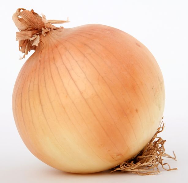 File:Onion2.jpg