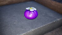 The Purple Onion on top of a brick.jpg