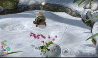 The Arctic Cannon Larva is fought by Winged Pikmin.
