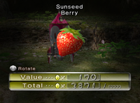 P2 Sunseed Berry Collected.png