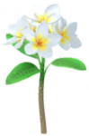 White frangipani Big Flower icon in Pikmin Bloom.