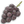 The Fruit File icon for the Dusk Pustules. Ripped from a screenshot using GIMP, and with an outline added on top, so the quality is subjective.