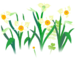 In-game texture for white daffodil flowers on the map.