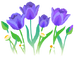 Texture for blue parrot tulip flowers on the map in Pikmin Bloom.
