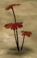 The red-leafed plant as it appears in Pikmin.