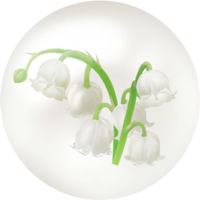 White convallaria nectar icon.png