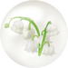 White lily of the valley/convallaria nectar in Pikmin Bloom.