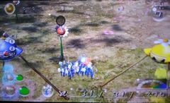 Picture of a glitch in Pikmin 2, in which a Pellet Posy can stay at 0 HP.