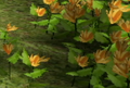 A group of Ligularia clivorum in Pikmin.