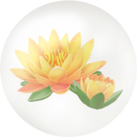 Yellow water lily nectar icon.png