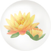 Yellow water lily nectar in Pikmin Bloom.