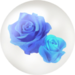 Blue rose nectar from Pikmin Bloom.