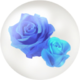 Blue rose nectar from Pikmin Bloom.